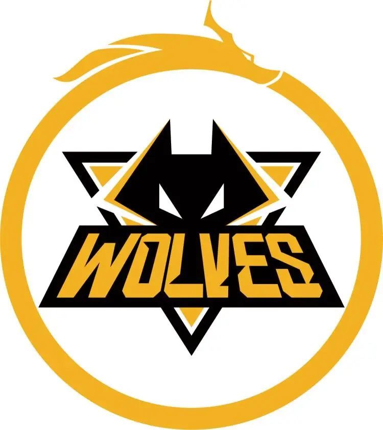 夏季赛总决赛媒体发布会官宣：8月29日18点直播开启